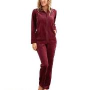 Damella Velour Plain Suit Dunkelrot Large Damen