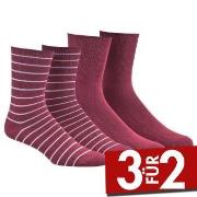 Damella 2P Bamboo Socks Weinrot Gr 39/42 Damen