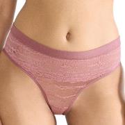 Sloggi FREE Evolve Hipster Lace Altrosa Sloggi 01 Damen