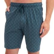 Calida Pyjama Short Petrol Baumwolle Medium Herren