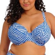 Elomi Fiji Falls Plunge Bikini Top Weiß/Blau F 80 Damen