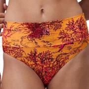 Chantelle Icon Light Mediterranean Mixed 38 Damen