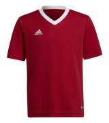 adidas Entrada 22 Herren Sport-Shirt nachhaltiges Trainings-Shirt mit ...