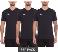 3er Pack adidas Entrada 22 Herren T-Shirt nachhaltiges Baumwoll-Shirt ...