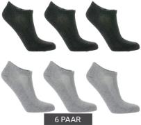 6 Paar TASTIQ Sneaker-Socken schlichte Baumwoll-Socken in Geschenkbox ...