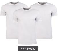 3er Pack PUMA Herren Baumwoll-Shirt T-Shirts Rundhals-Shirt Basic-Shir...